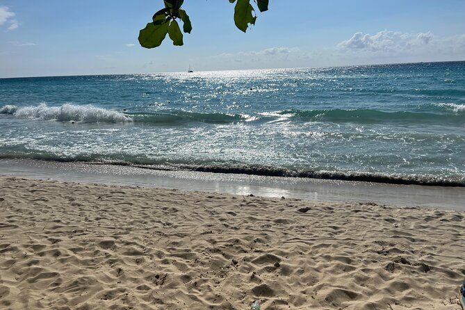 Negril 7 Mile Beach and Ricks Cafe Tour - Timing, pickup, and what to pack