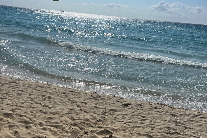 Negril 7 Mile Beach and Ricks Cafe Tour - Who will enjoy this tour most?
