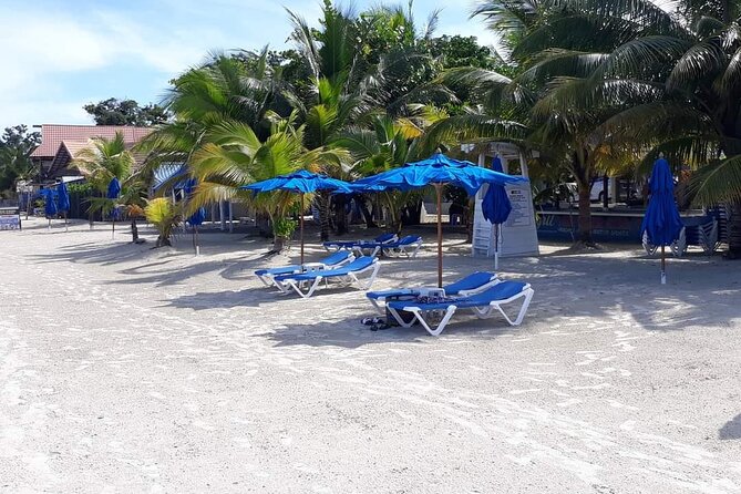 Negril 7 Miles Beach and Rick's Cafe Tour - Key points to know before booking