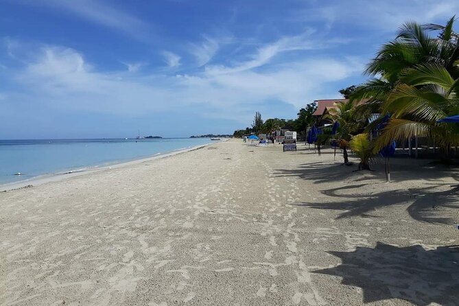 Negril 7 Miles Beach and Rick's Cafe Tour - Fitness, comfort, and what to plan for