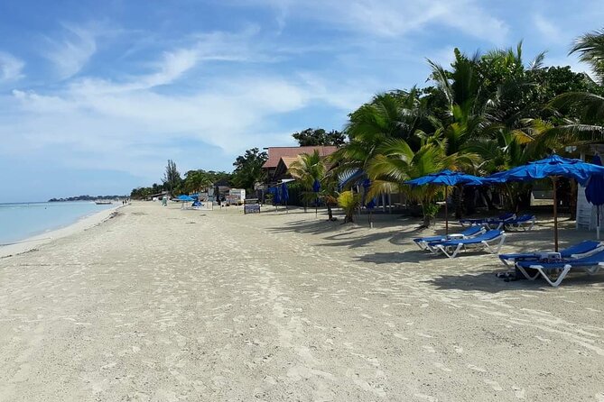 Negril 7 Miles Beach and Rick's Cafe Tour - Booking and cancellation details worth knowing