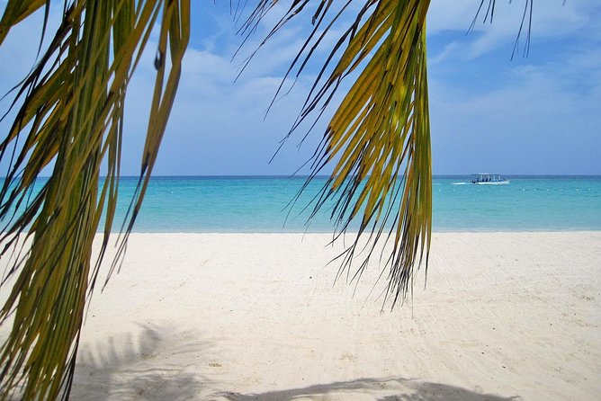 Negril Beach & Ricks Cafe from Montego Bay - Two hours at Rick’s Cafe