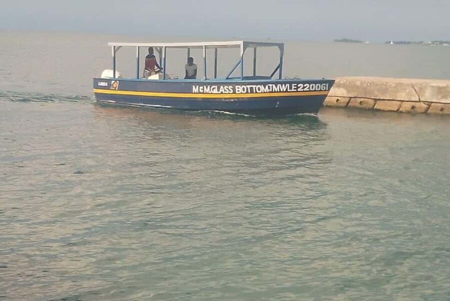 Negril: Booby Cay Island Picnic Tour with Snorkeling - Key things to know before you book
