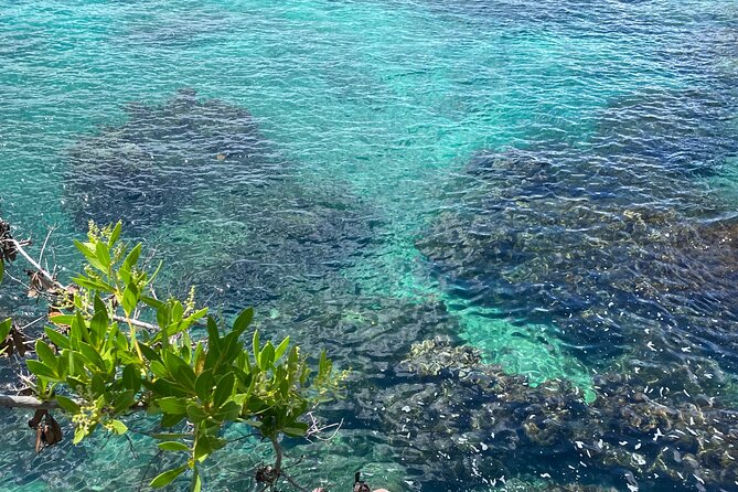 Negril day! beach and west end Cliffs with French Guide - Who should book this Negril excursion?