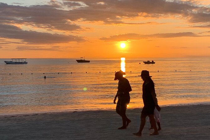 Negril Experience 1- 4 Persons - Timing, pickup, and cruise-port planning