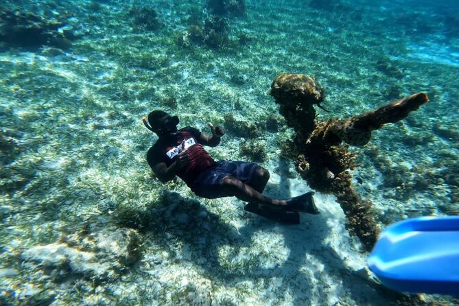 Negril Glass Bottom Boat Tour Snorkeling and Booby Cay - Key points to know before booking
