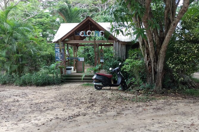 Negril Private and Public Beach with Ricks Cafe from Montego Bay - Comparing Negril’s Seven Mile Beach