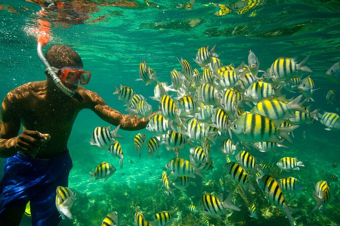 Negril Seven Miles Beach, Snorkeling, Boat Ride, Ricks Cafe Combo - Lunch on a small island, with lobster at your own cost