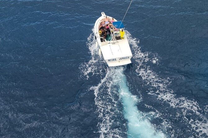 Negrils Seven Miles Beach, Rick's cafe and Parasailing Tour. - Is $180 a Fair Price?