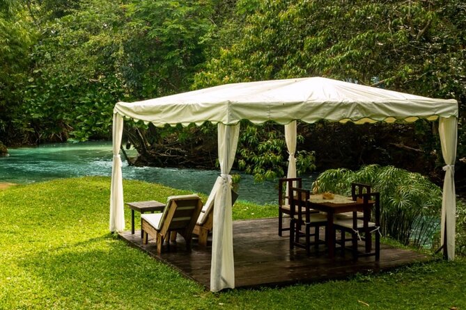 Ocho Rios: Amazing Blue Hole and Chill at Reggae Hill - Guides make a noticeable difference