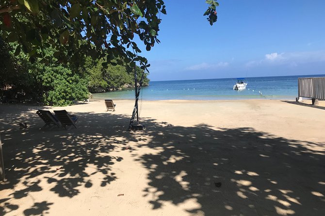 Ocho Rios City Bus Tour (Beach, Sightseeing & Shopping) - Who Will Get the Most From This Tour