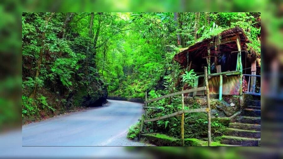 Ocho Rios: Guided Sightseeing Tour - What this two-hour Ocho Rios tour is really for