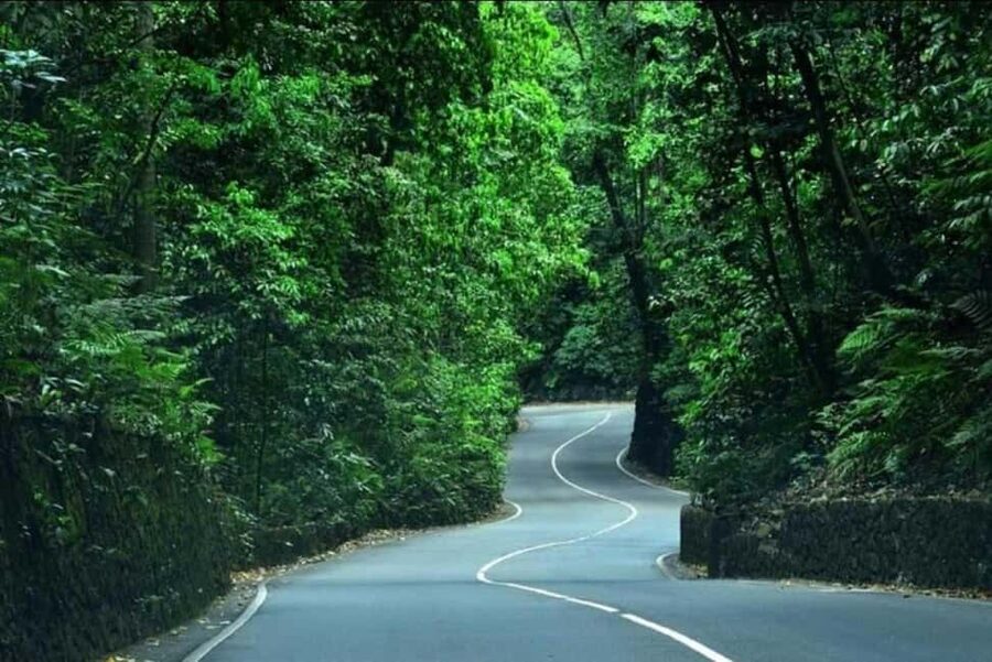 Ocho Rios: Guided Sightseeing Tour - Possible extras: Shaw Park Gardens, Columbus Park, and Dunn’s River