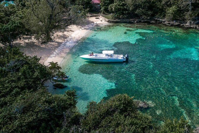 Ocho Rios Powerboat & Dunn’s River Falls Adventure - Jamaican Lunch After the Water Activities