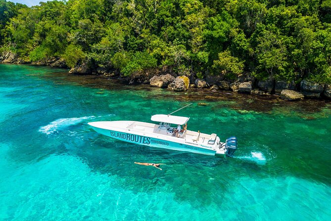 Ocho Rios Powerboat & Dunn’s River Falls Adventure - Pickup, Timing, and Group Size