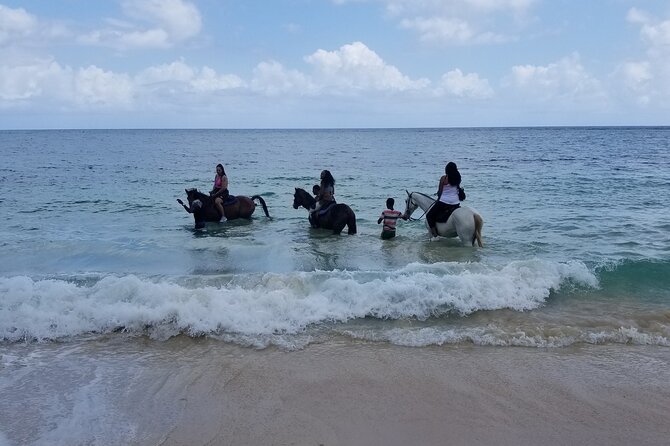 Ocho Rios Private Horse Riding, River Tubing and Rafting[Entry fee not included] - What the $134.16 price really covers