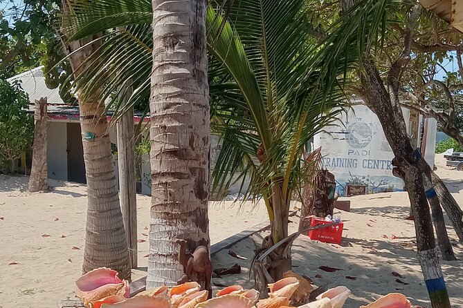 Ocho Rios Scenic Views, Culture and Adventure - Shopping, lunch, or Margaritaville at the end