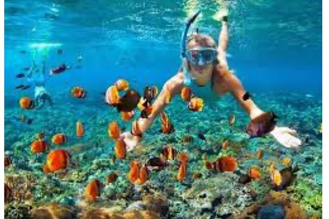 Party Catamaran and Snorkeling Tour in Montego Bay - Is $105.85 a fair price?