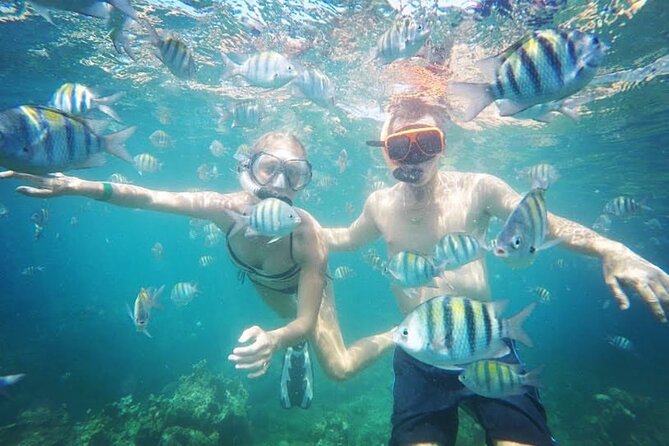 Party Catamaran Cruise with Open Bar and Snorkeling Montego Bay - Who will enjoy this boat most