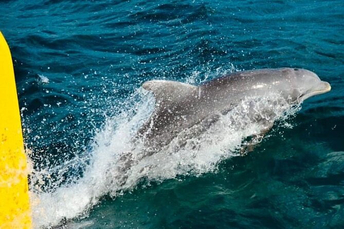 PARTY Catamaran Cruise with Snorkeling Rick's Cafe ADULTS ONLY - Music, drinks, and the adults-only mood