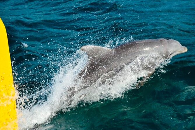 Party Catamaran: OpenBar, Music, Negril Beach, Caves, Snorkeling - Adults-only dates and family-friendly sailings