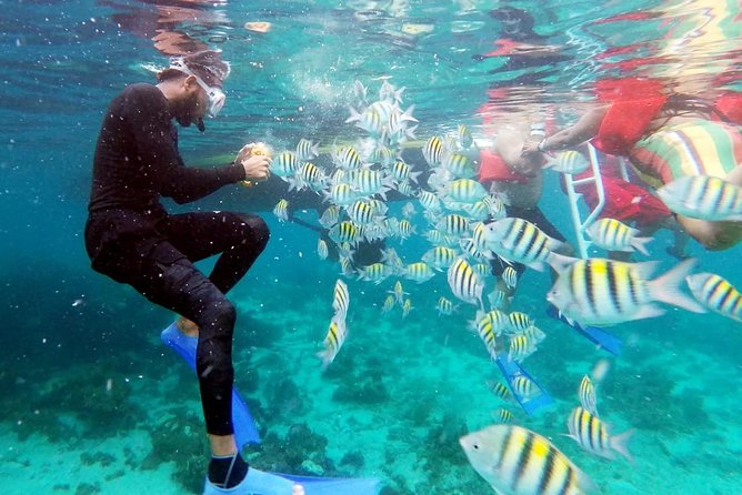Party Catamaran: OpenBar, Music, Negril Beach, Caves, Snorkeling - Weather, timing, and smart packing