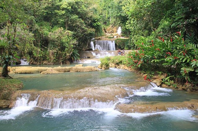 Private Adventure to YS Falls - Timing, booking, and cancellation