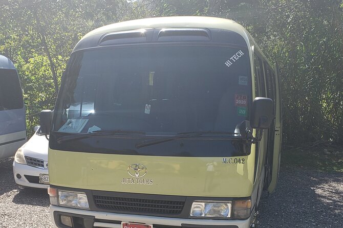 Private Airport Transfers To Negril Hotels and Villas - Booking, cancellation, and practical details