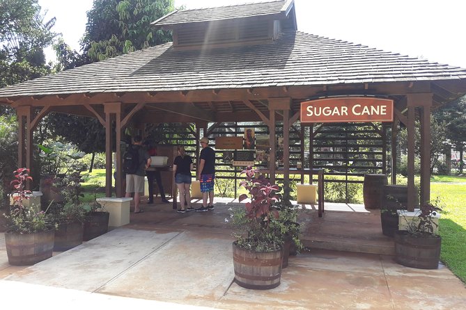 Private Appleton Estate Rum and Pelican Bar Tour from Montego Bay - Why Appleton is worth your time