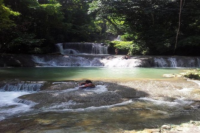 Private Appleton Estate Rum & YS Falls Tour from Montego Bay - What makes the rum visit useful