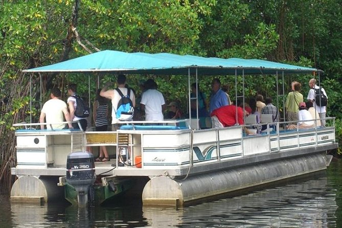 Private Appleton YS Falls and Black River Tour from Montego Bay - Three sides of Jamaica in one south coast day