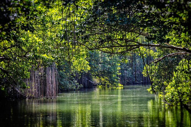 Private Appleton YS Falls and Black River Tour from Montego Bay - What the $270 price really covers