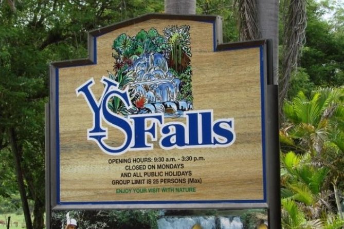 Private Appleton YS Falls and Black River Tour from Montego Bay - The private vehicle makes or breaks the day