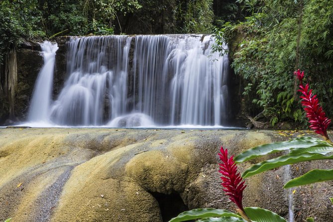 Private Appleton YS Falls and Black River Tour from Montego Bay - Who will enjoy this tour most