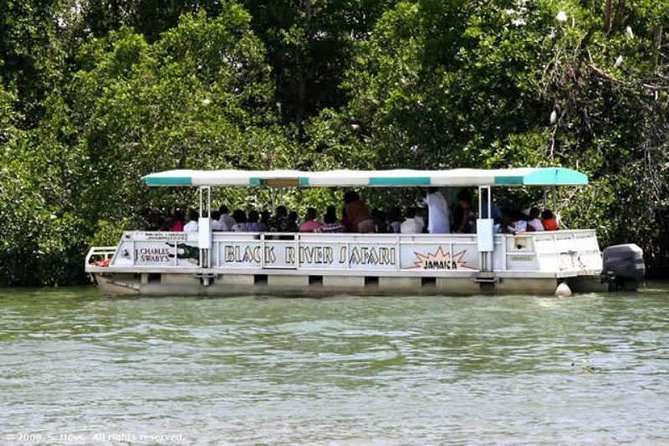 Private Appleton YS Falls and Black River Tour from Montego Bay - A morning at the Joy Spence Appleton Estate