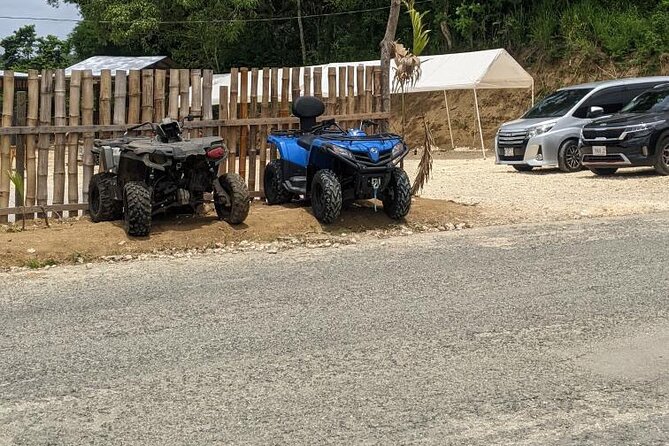 Private ATV Ride 7 Mile Beach & Rick’s Café Negril Tour - What the $245 price really covers