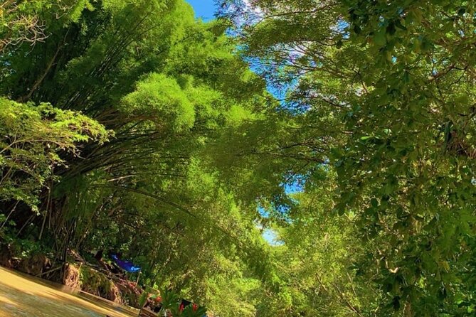 Private Bamboo River Rafting & Foot Massage from Montego Bay - Is $65 a fair price?