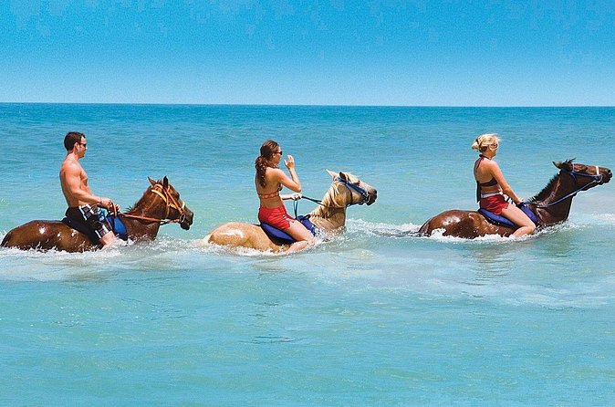 Private Beach Horseback Riding from Ocho Rios - The horse swim is worth planning around