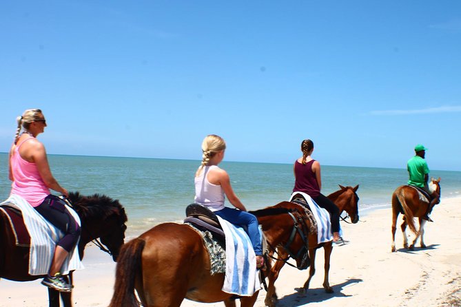 Private Beach Horseback Riding from Ocho Rios - Getting acquainted with your horse at Hooves