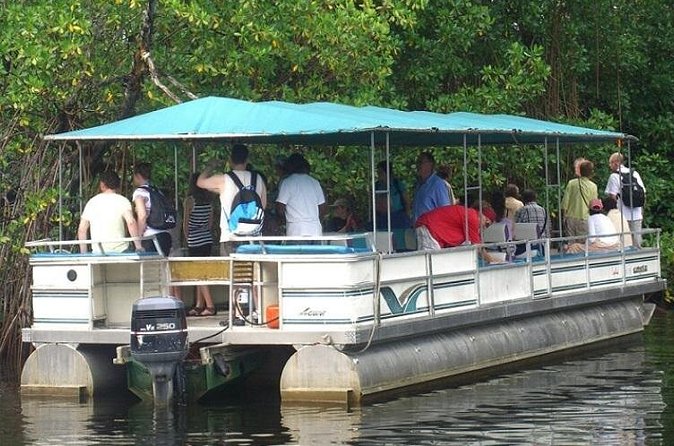 Private Black River Safari Tour from Montego Bay - Why the private setup matters