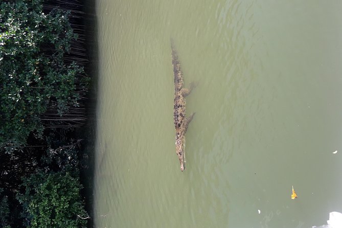 Private Black River Safari Tour from Montego Bay - What the $160 price means