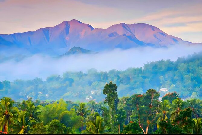 Private Blue Mountain tour from Ocho Rios - The long road from Ocho Rios to the Blue Mountains