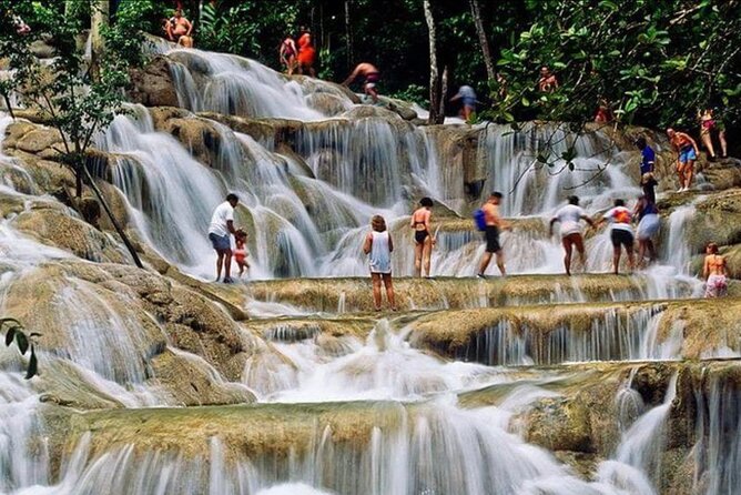 Private Bob Marley 9 mile & DunnsRiverFalls Tour from Montego Bay - What the $215.33 price means