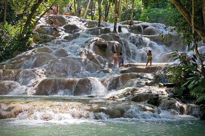 Private BOB Marley's 9miles Tour & Dunn’s River Falls Experience - From Montego Bay to Bob Marley’s Nine Mile