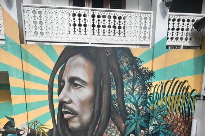 Private BOB Marley's 9miles Tour & Dunn’s River Falls Experience - Who will enjoy this five-hour combination?