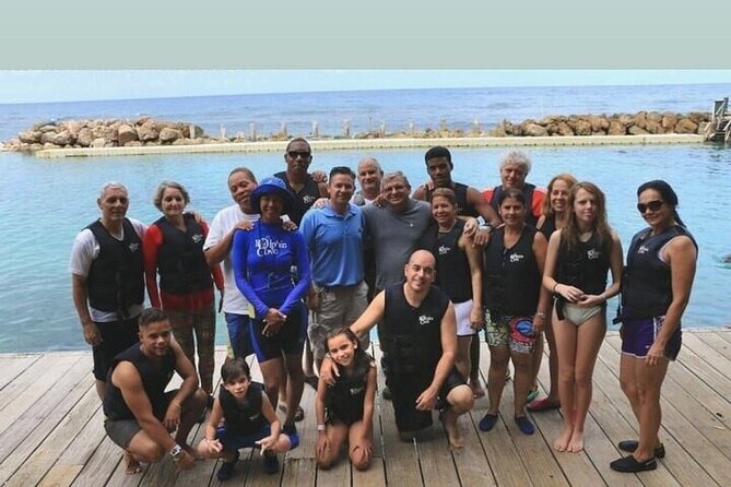 Private Dolphin Cove Adventure - What happens during the 2 to 3 hours