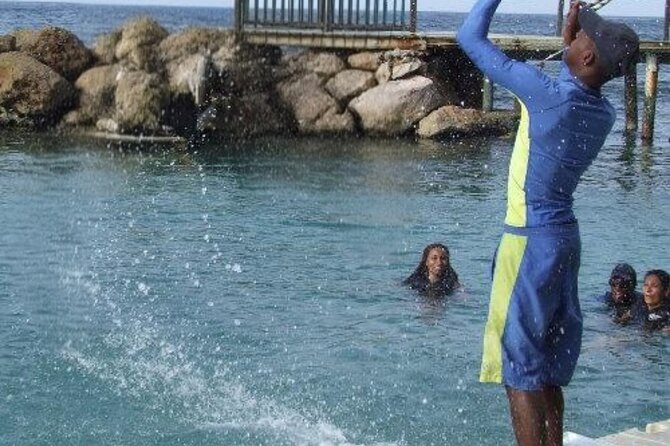 Private Dolphin Cove Adventure - Is $250 per person fair value?