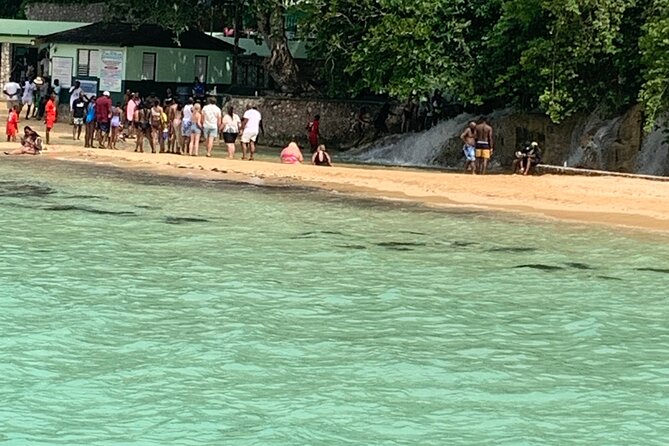 Private Dunn's River and Bamboo Rafting Combo from Ocho Rios - How the two activities fit together