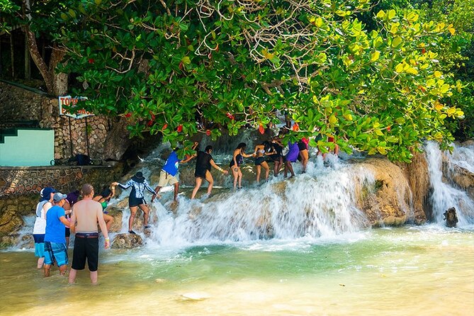 Private Dunn's River Falls Adventure from Montego Bay - Falmouth and the route north