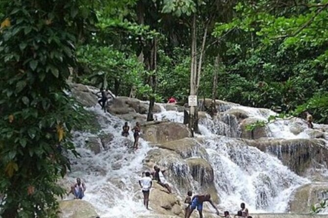 Private Dunn's River Falls and Tubing Tour From Ocho Rios - Why a private vehicle changes the day
